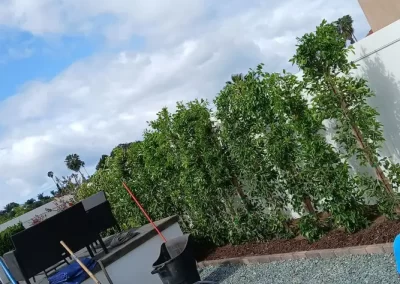 Landscaping Contractor