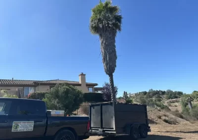 Landscaping Services (16)