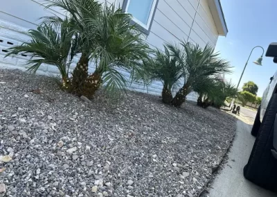 Landscaping Services